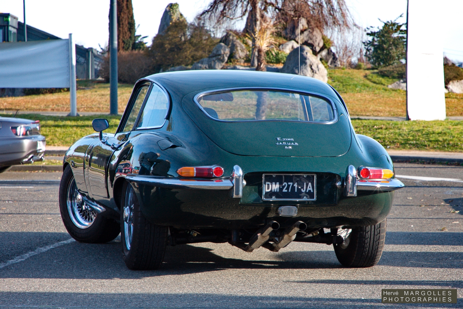 Jaguar Type E-01.jpg